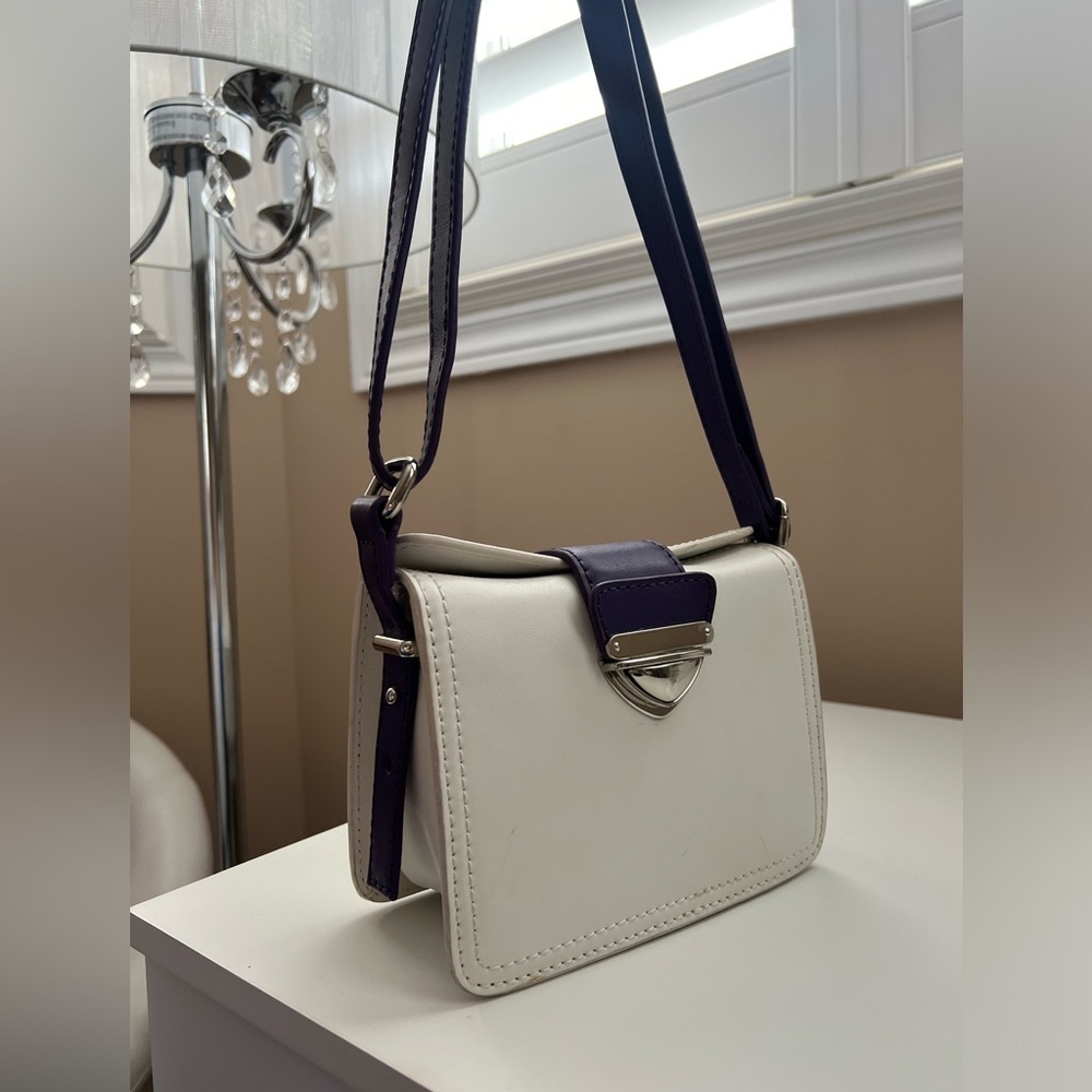 Danier Leather Bag